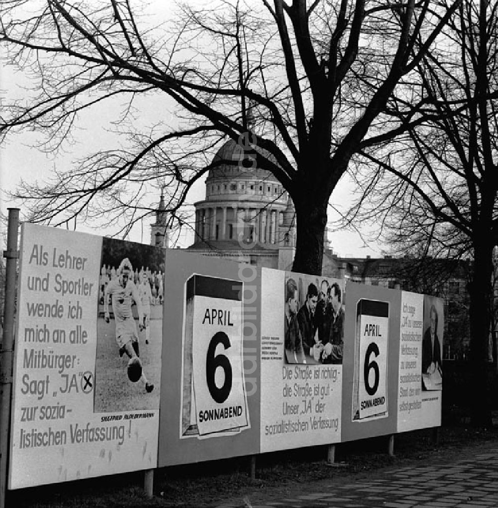 Potsdam: Menschen in Potsdam