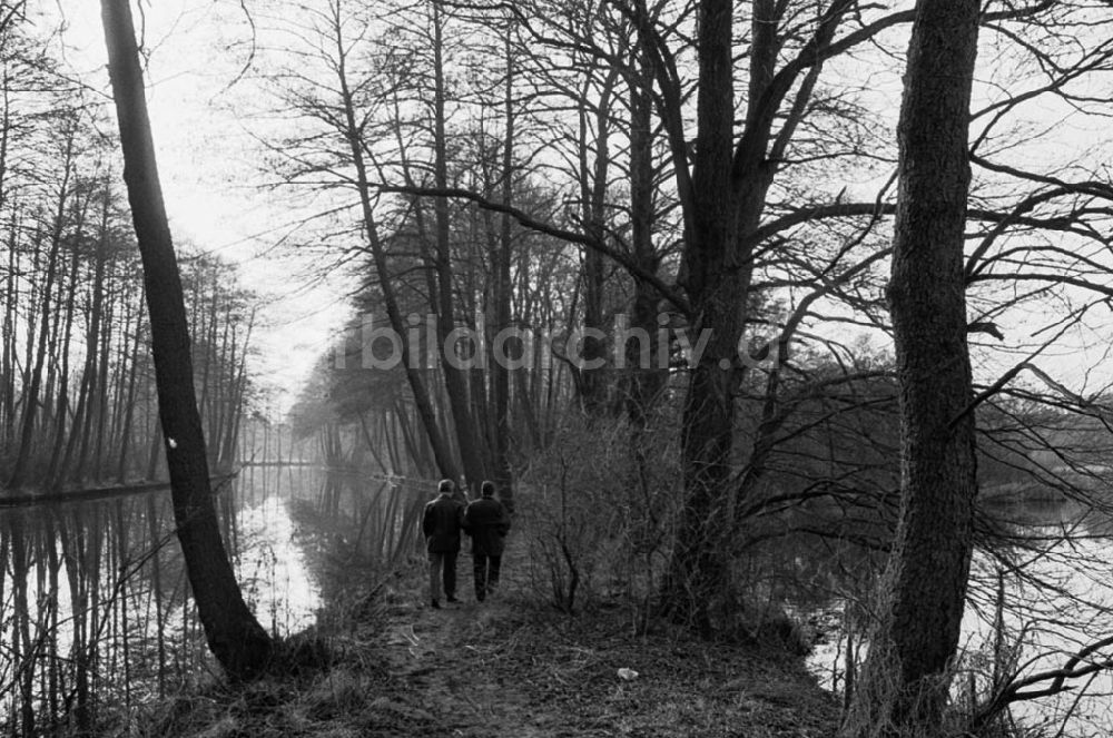 Erkner: ND -Wanderungsgebiet bei Erkner 05.03.92