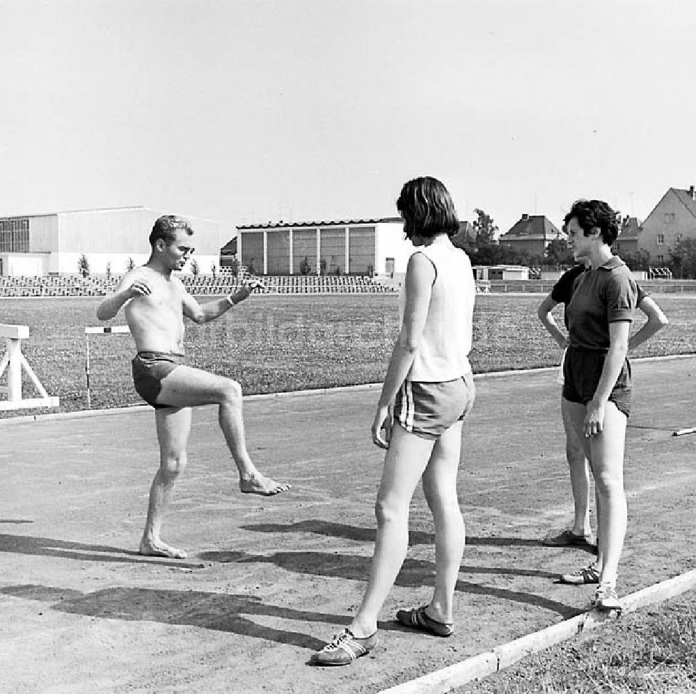 Halle: Neues Leichtathletik forum an der Robert-Koch-Straße in Halle Umschlagnr.: 89 Foto: unbekannt