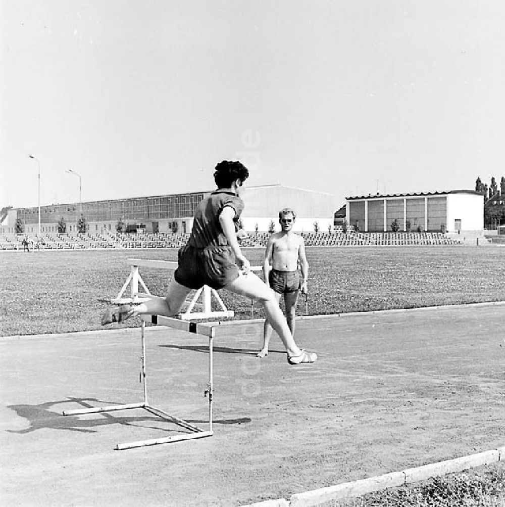 Halle: Neues Leichtathletik Forum an der Robert-Koch-Straße und Solebad Solina in Halle Umschlagnr