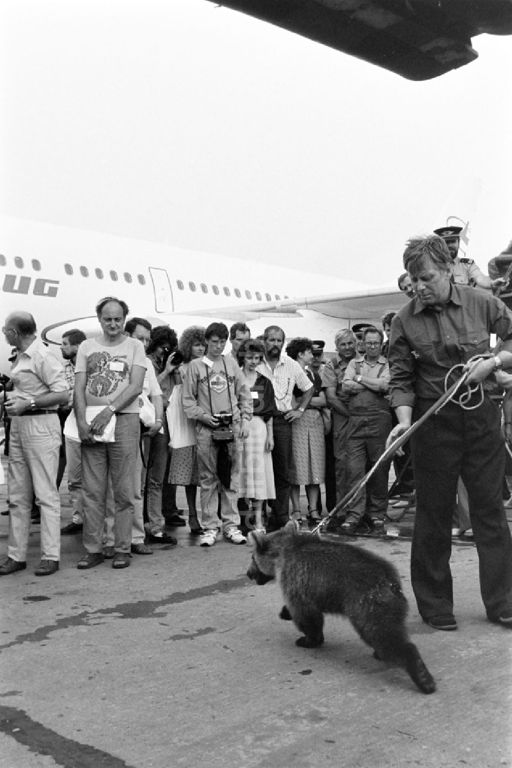 DDR-Fotoarchiv: Schönefeld - Passagierflugzeug Airbus A310 der INTERFLUG auf dem Flughafen in Schönefeld in Brandenburg in der DDR