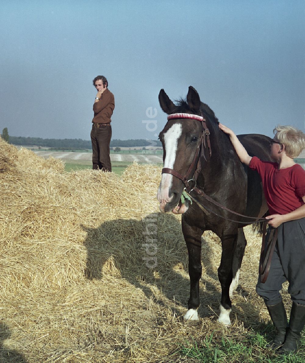 Horka: Pferde und Reiter bei Filmarbeiten zu Porträt eines Mittelpunktes in Horka in der DDR