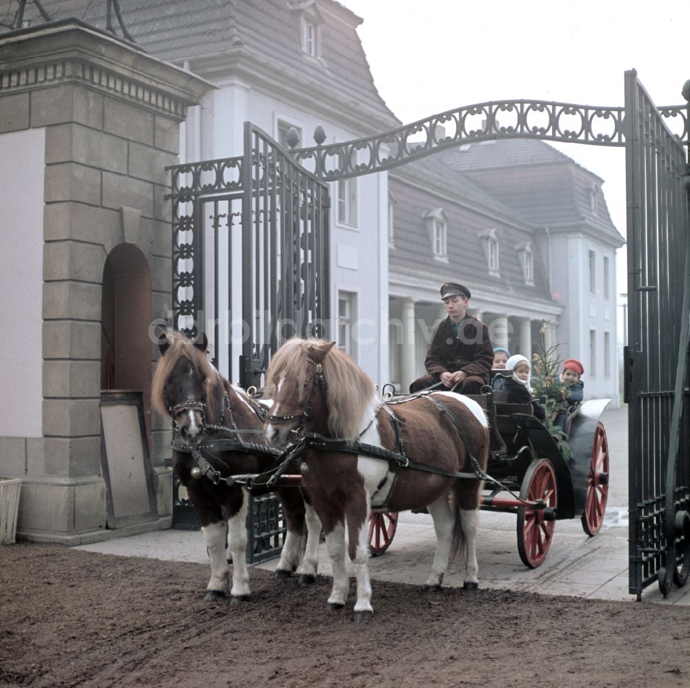 Berlin: Pferdegespann mit Kindern bei einem kleinen Ausflug durch das Tor des Berliner Tierparks am Schloss Friedrichsfelde in Berlin in der DDR