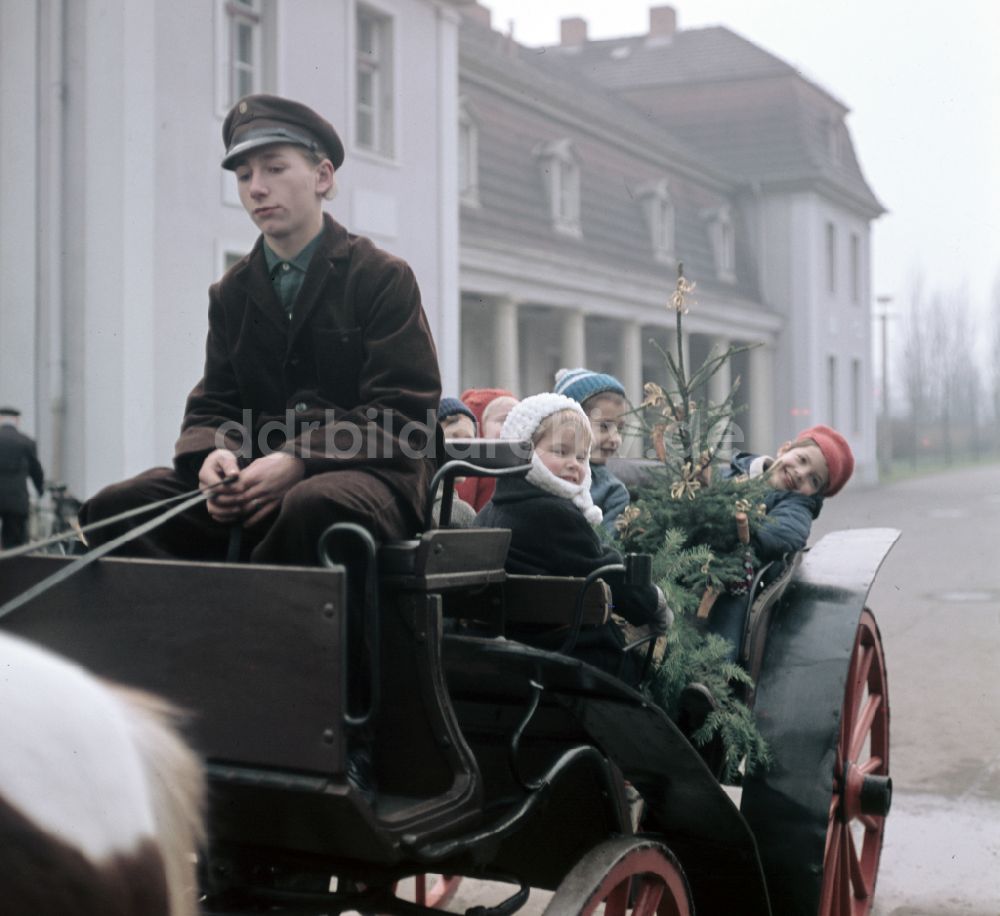 DDR-Fotoarchiv: Berlin - Pferdegespann mit Kindern bei einem kleinen Ausflug durch das Tor des Berliner Tierparks am Schloss Friedrichsfelde in Berlin in der DDR