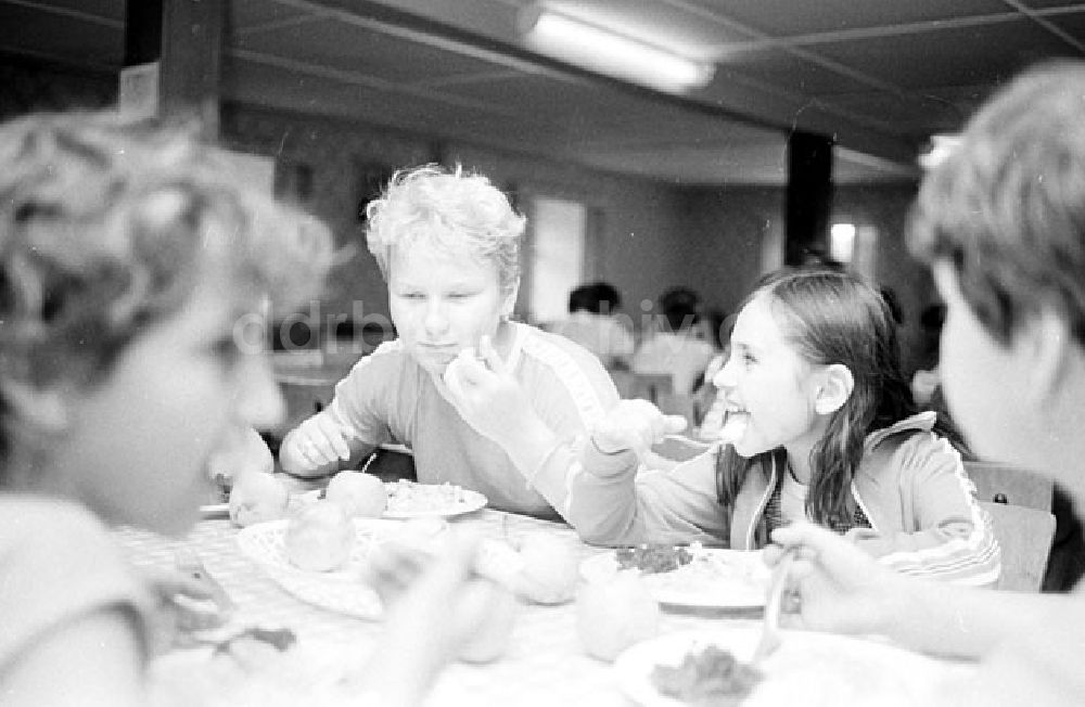 DDR-Fotoarchiv: Meisdorf - Polnische Kinder im Kinderferienlager Meisdorf bei Hettstedt Umschlagnr.: 813 Foto: Bonitz