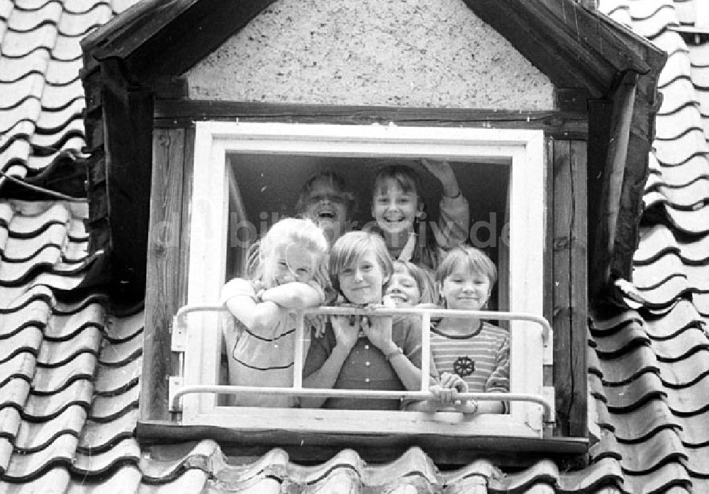 DDR-Fotoarchiv: Meisdorf - Polnische Kinder im Kinderferienlager Meisdorf bei Hettstedt Umschlagnr.: 813 Foto: Bonitz