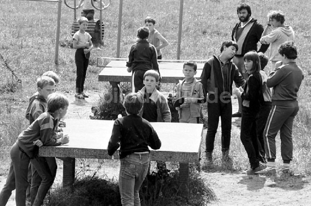 DDR-Bildarchiv: Meisdorf - Polnische Kinder im Kinderferienlager Meisdorf bei Hettstedt Umschlagnr.: 813 Foto: Bonitz