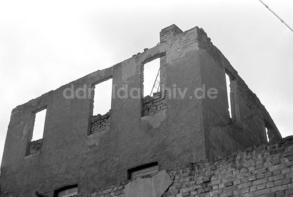 Leipzig: Ruine Leipzig 1959