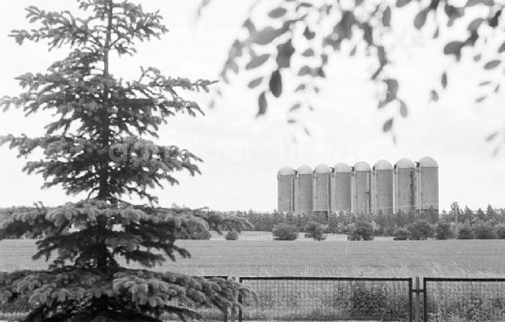 Schönermark: Schönermark Brandenburg - Landkreis Uckermark Foto: Lenke Nr.: 678