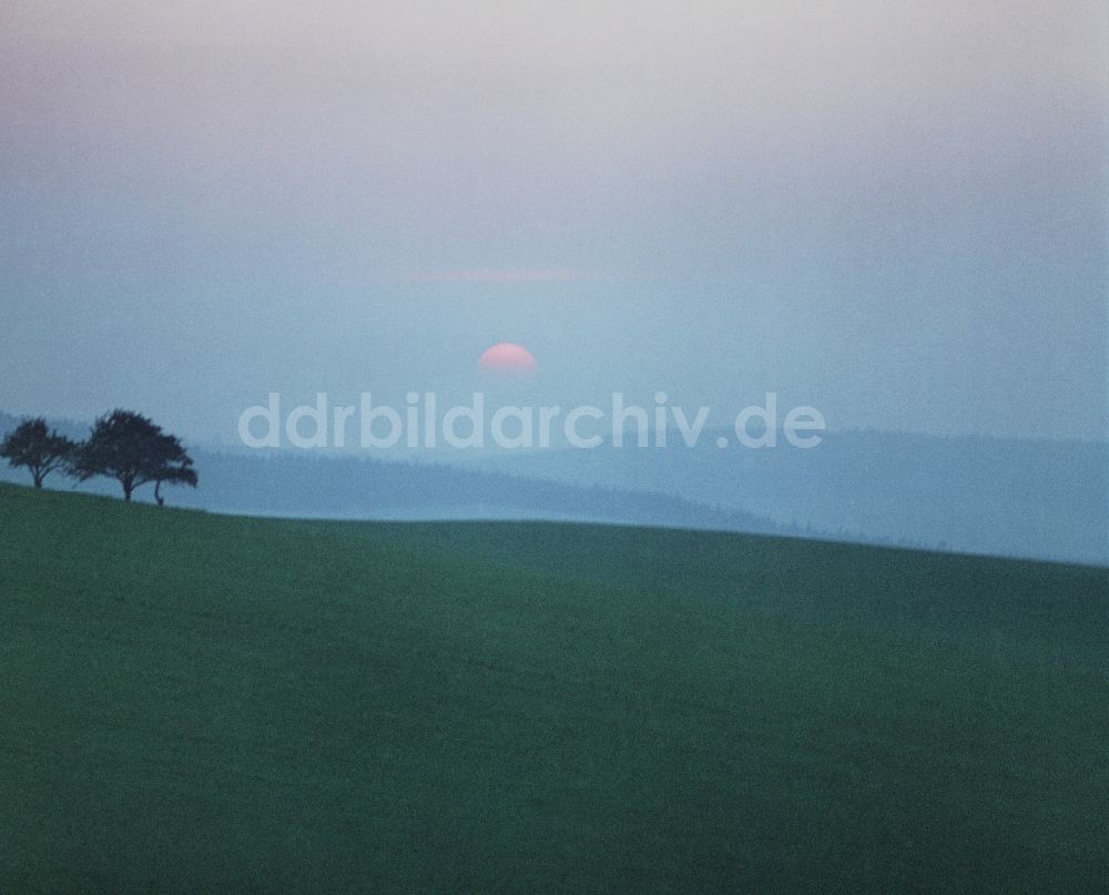 DDR-Fotoarchiv: Räckelwitz - Sonnenuntergang auf einem Feld bei Räckelwitz, Sachsen auf dem Gebiet der ehemaligen DDR