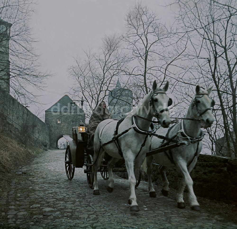 Bautzen: Szenenbild Kontinent Hoffnung Pferdefuhrwerk in Bautzen in der DDR