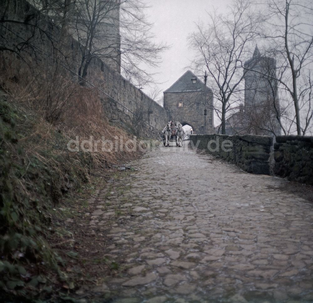 DDR-Bildarchiv: Bautzen - Szenenbild Kontinent Hoffnung Pferdefuhrwerk in Bautzen in der DDR