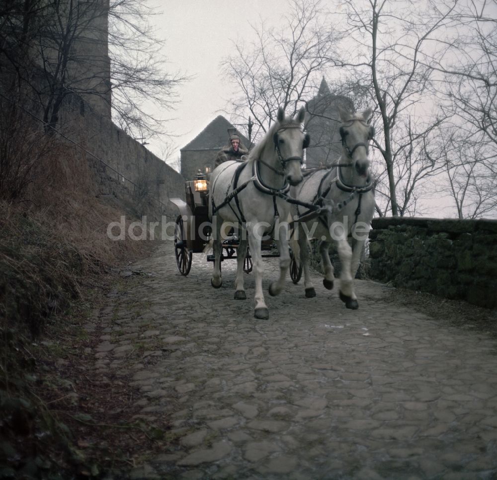 DDR-Fotoarchiv: Bautzen - Szenenbild Kontinent Hoffnung Pferdefuhrwerk in Bautzen in der DDR