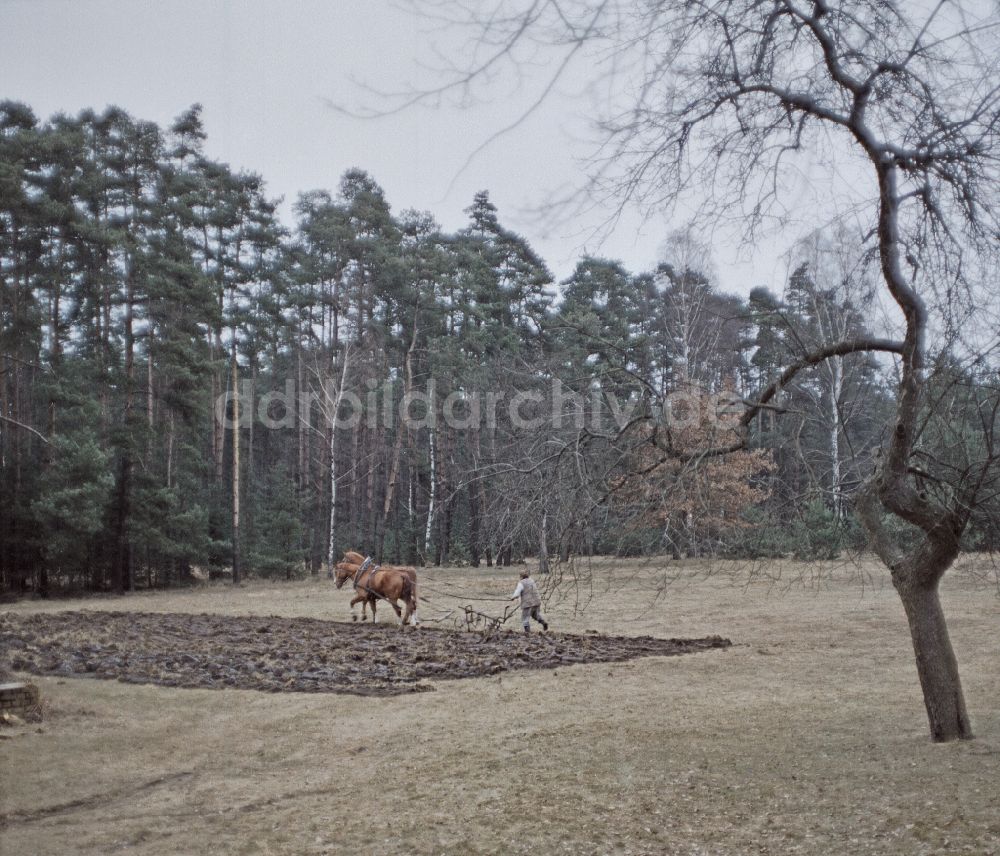 DDR-Fotoarchiv: Haide - Szenenbild Rublak - Die Legende vom vermessenen Lan in Haide in der DDR