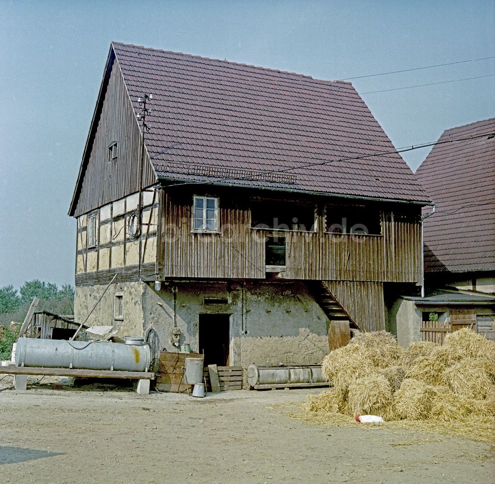 DDR-Fotoarchiv: Räckelwitz - Szenenfoto Film Porträt eines Mittelpunktes