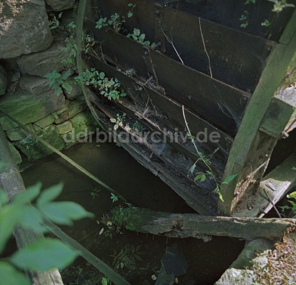 DDR-Fotoarchiv: Räckelwitz - Szenenfoto Film Porträt eines Mittelpunktes