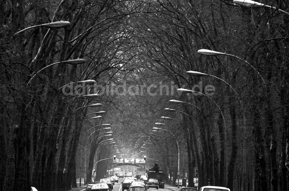 DDR-Fotoarchiv: Berlin - Thema:Platanenallee inTreptow Foto:Lange Umschlagsnummer: 1992-25