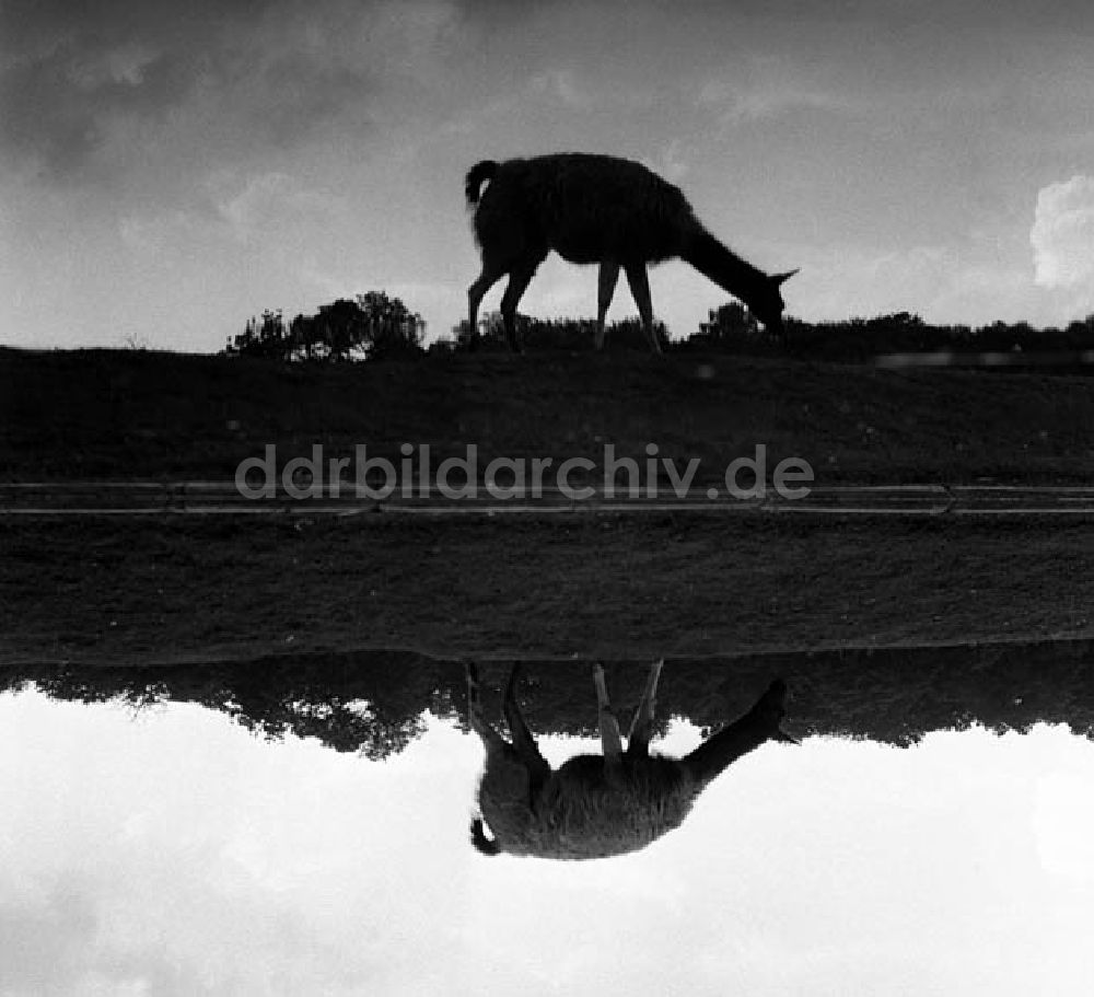 Berlin: Tierpark Berlin