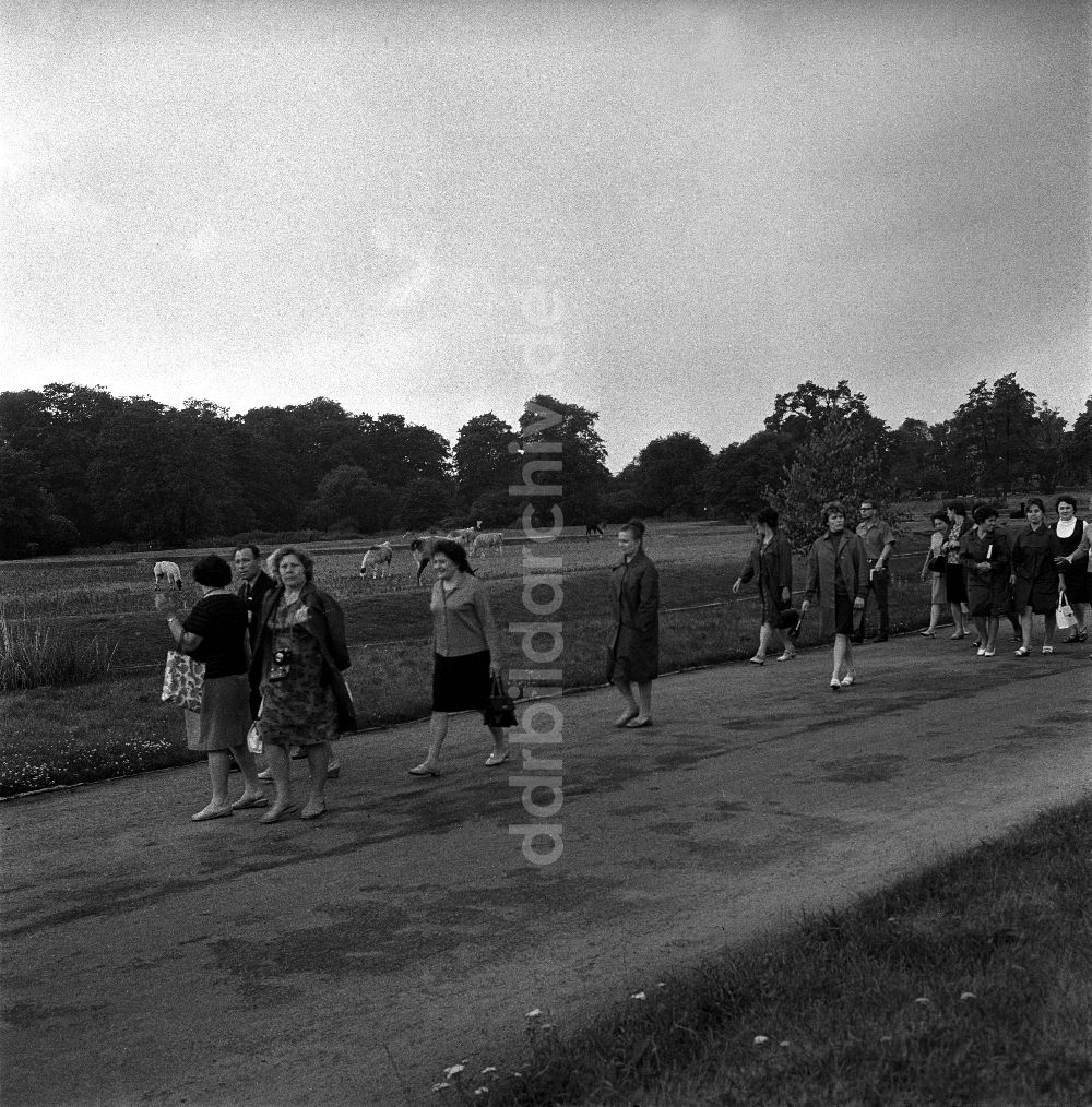 DDR-Fotoarchiv: Berlin - Tierpark Berlin