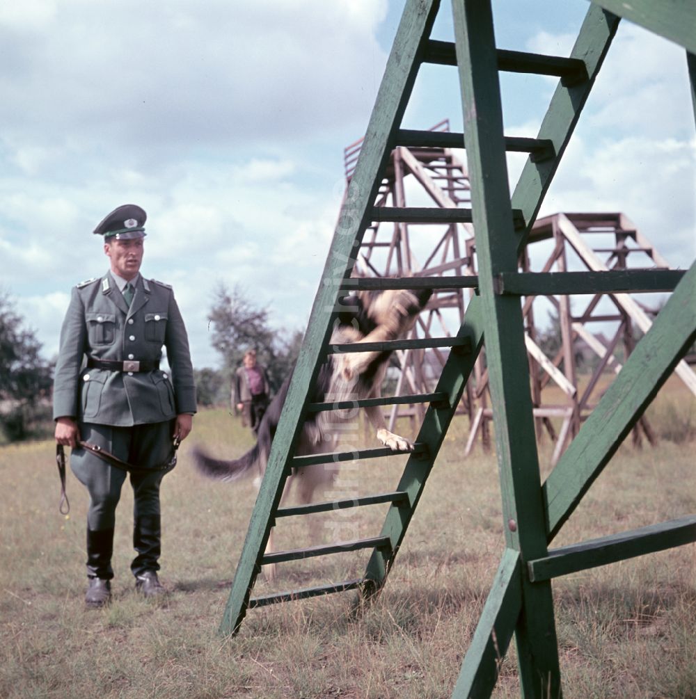 DDR-Fotoarchiv: Pretzsch (Elbe) - Training der Hundestaffel der Volkspolizei in Pretzsch (Elbe) in der DDR