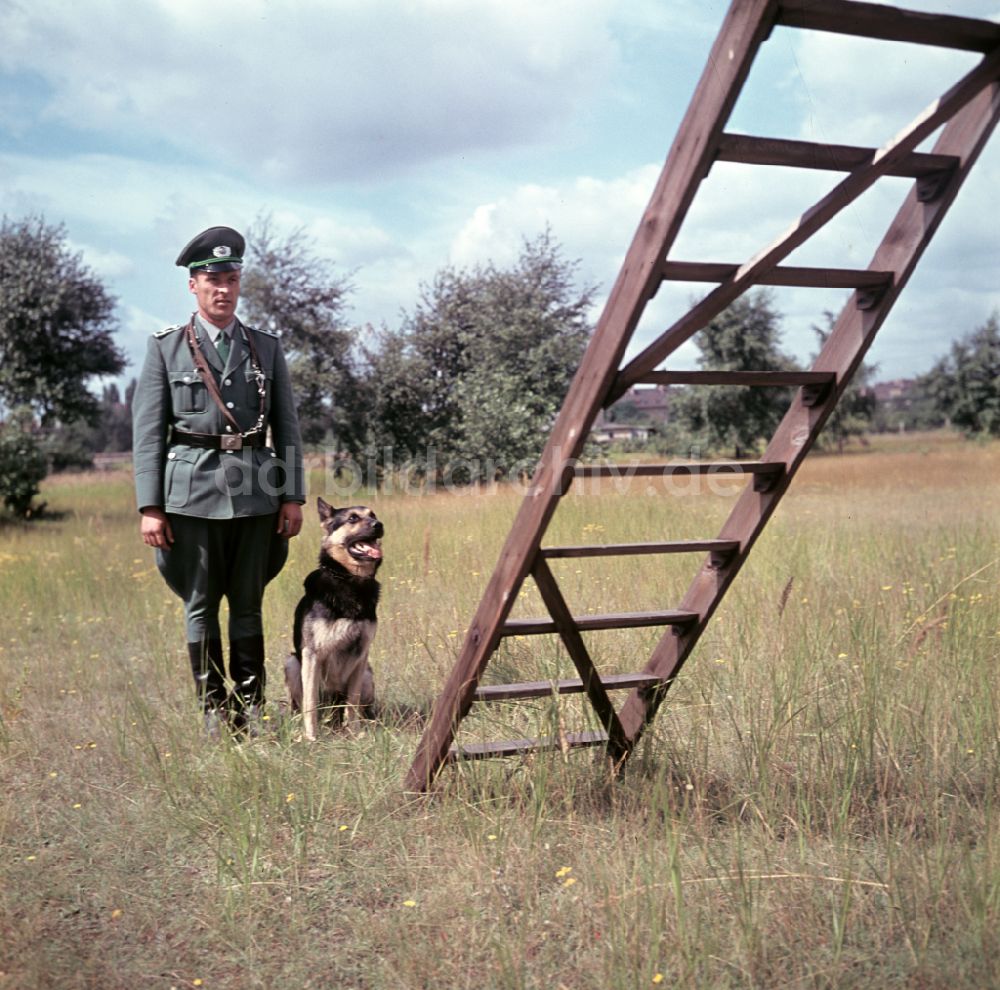 Pretzsch (Elbe): Training der Hundestaffel der Volkspolizei in Pretzsch (Elbe) in der DDR