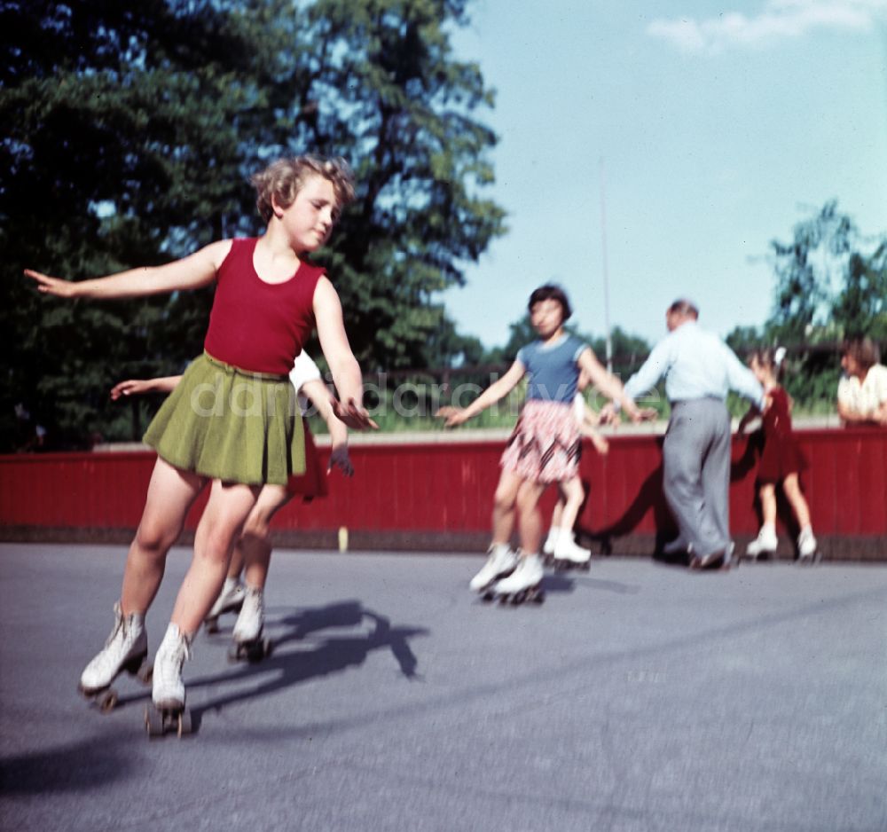 DDR-Fotoarchiv: Dresden - Trainings- und Leistungssportzentrum Abteilung Rollkunstlauf des SV Dresden- Mitte 1950 e.V. in Dresden in der DDR