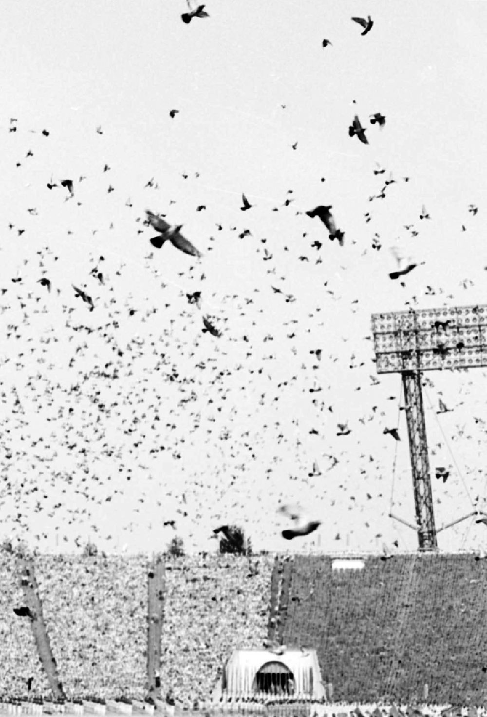 DDR-Bildarchiv: Leipzig - Turn- und Sportfest Spartakiade in Leipzig in Sachsen in der DDR