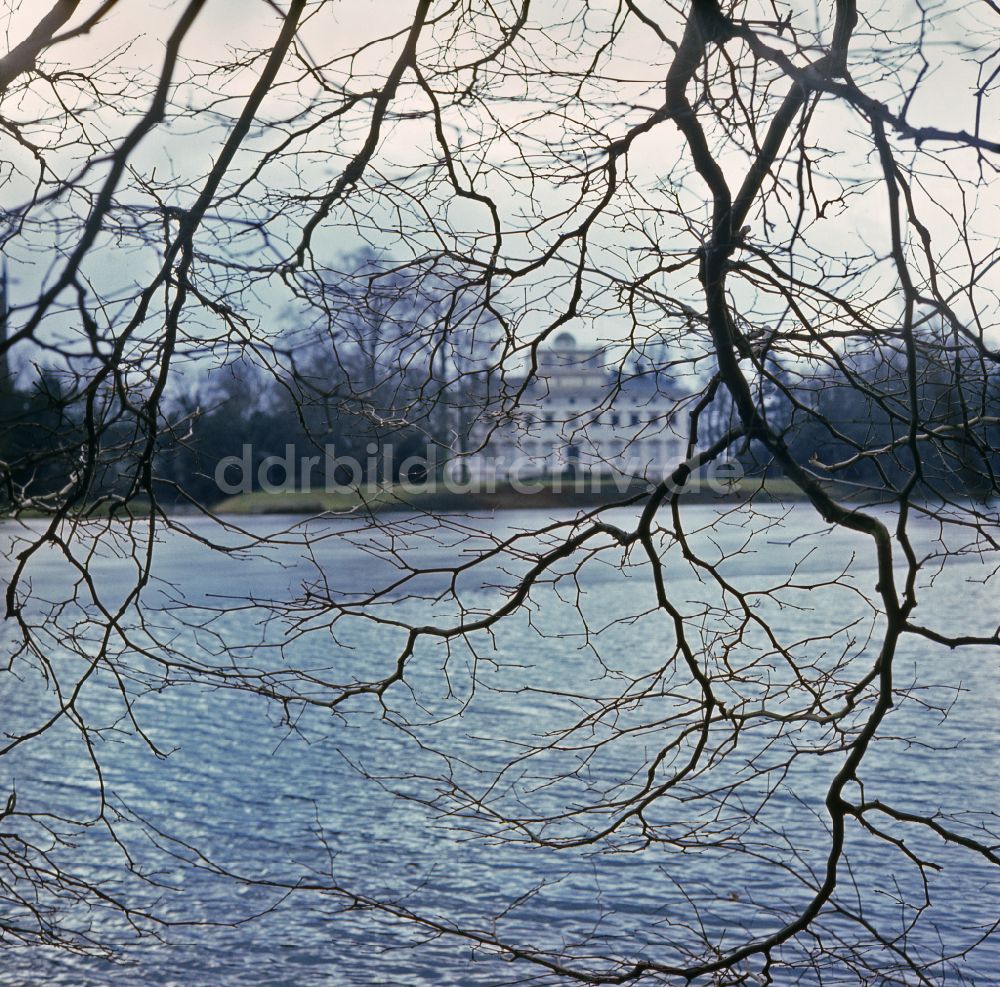 DDR-Bildarchiv: Wörlitz - Uferbereich des Sees Krägengraben - Wörlitzer See in Wörlitz in der DDR