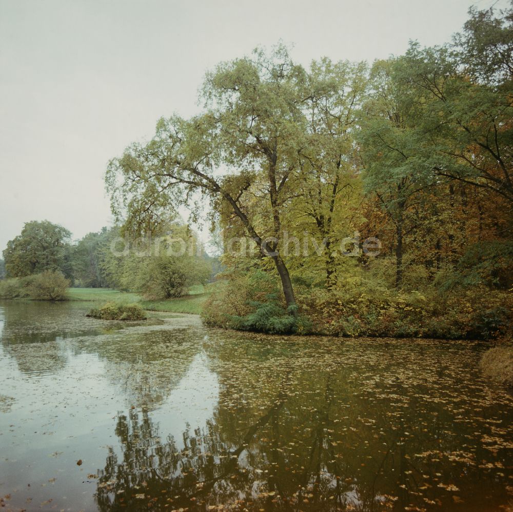 DDR-Fotoarchiv: Wörlitz - Uferbereich des Sees Krägengraben - Wörlitzer See in Wörlitz in der DDR