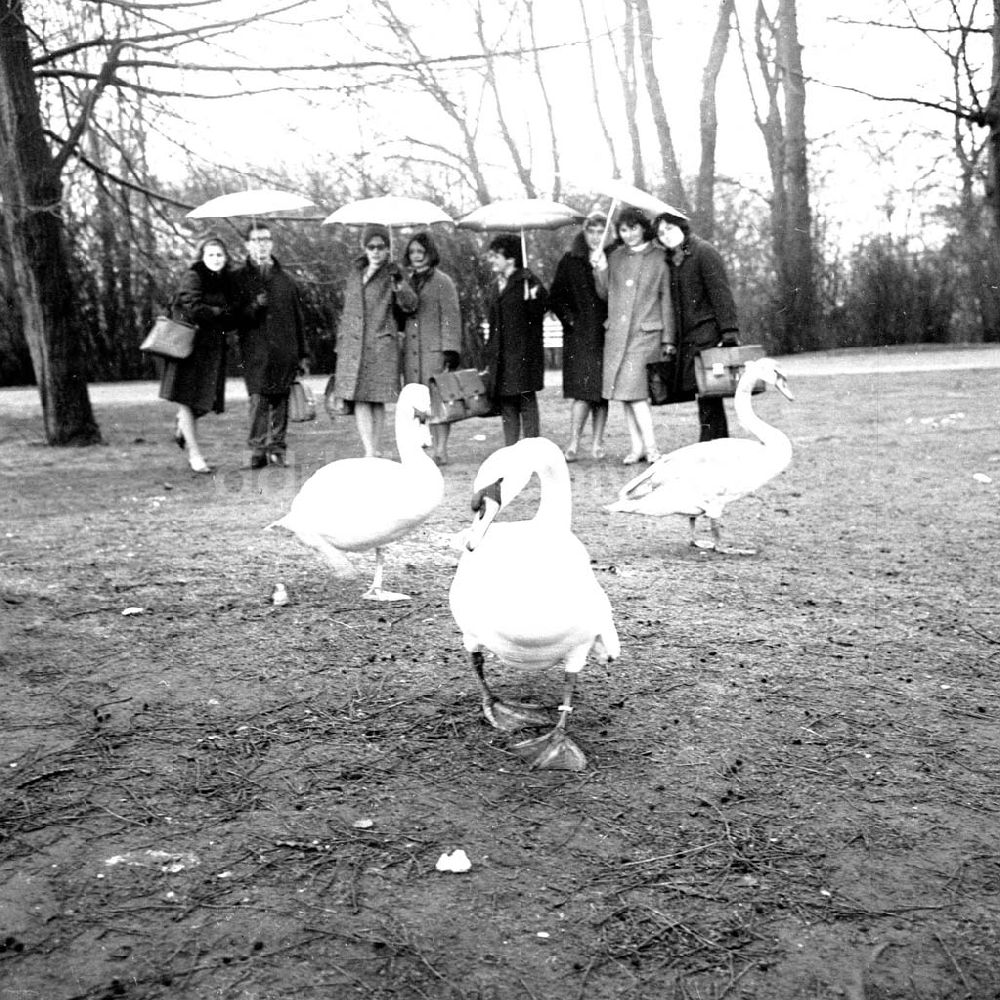 DDR-Bildarchiv: Berlin - Umschlagsnr.: 1966-93