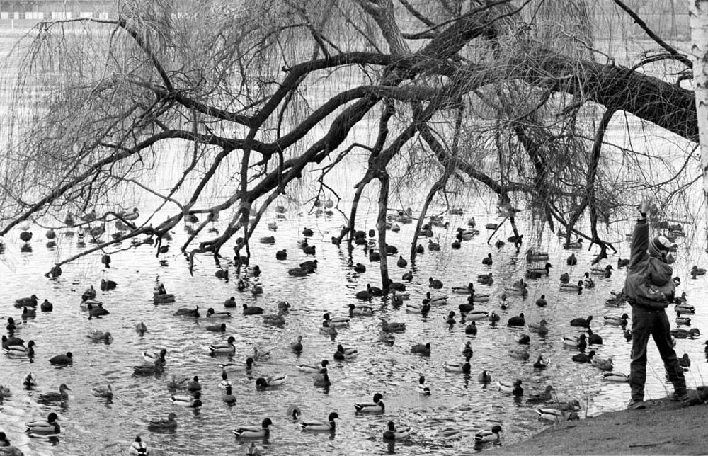 DDR-Fotoarchiv: Berlin - Umschlagsnr.: 1993-11 (b