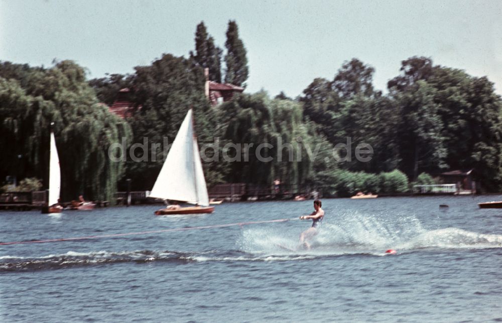 DDR-Bildarchiv: Berlin - Wasserski im Ortsteil Grünau in Berlin in der DDR