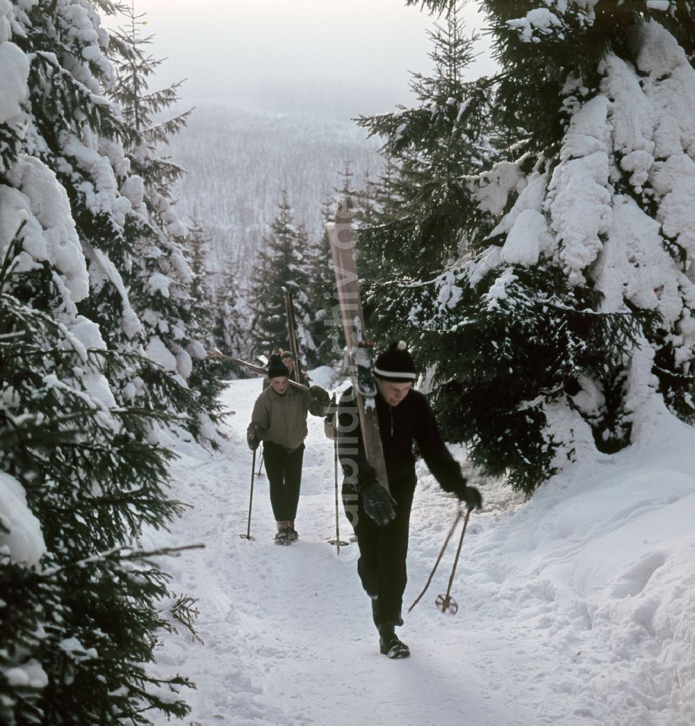 DDR-Bildarchiv: Bad Tabarz - Winterlandschaft am Großen Inselberg in Bad Tabarz in der DDR