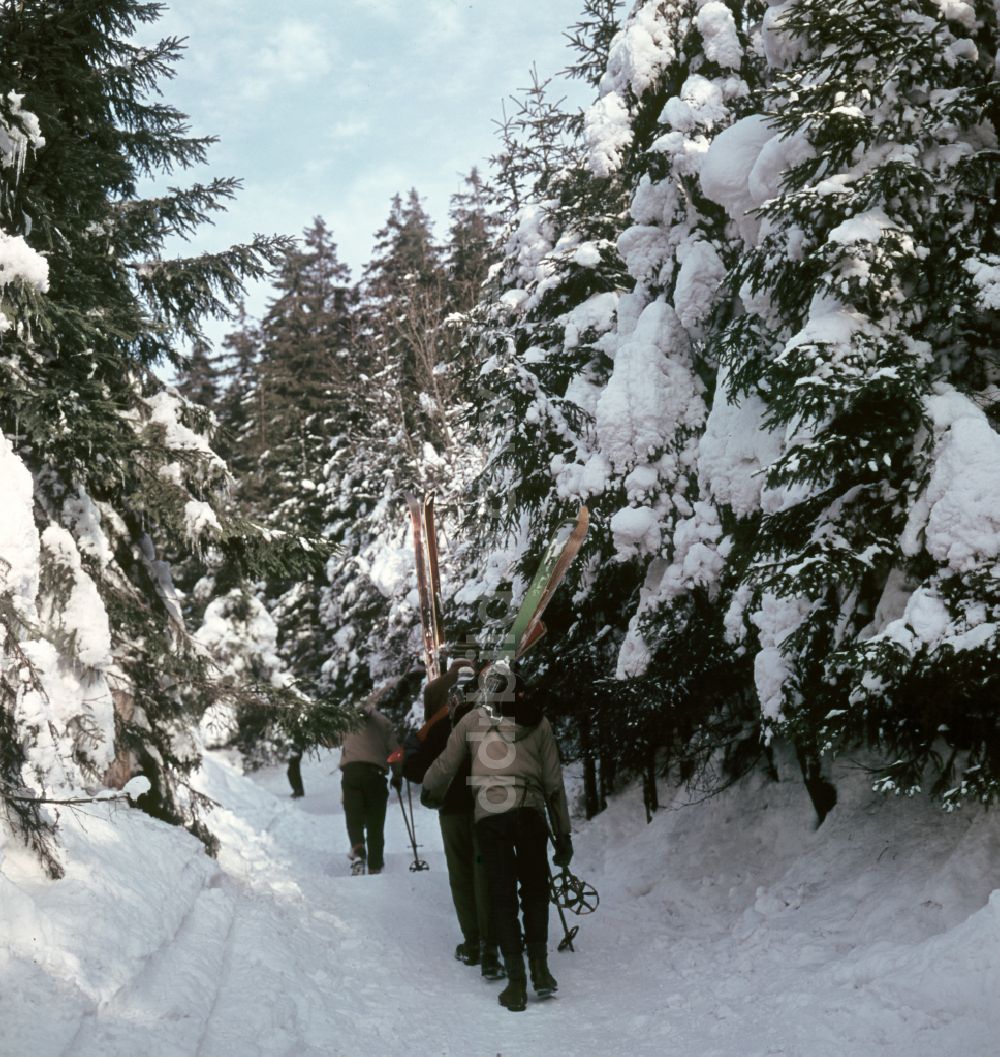 DDR-Fotoarchiv: Bad Tabarz - Winterlandschaft am Großen Inselberg in Bad Tabarz in der DDR