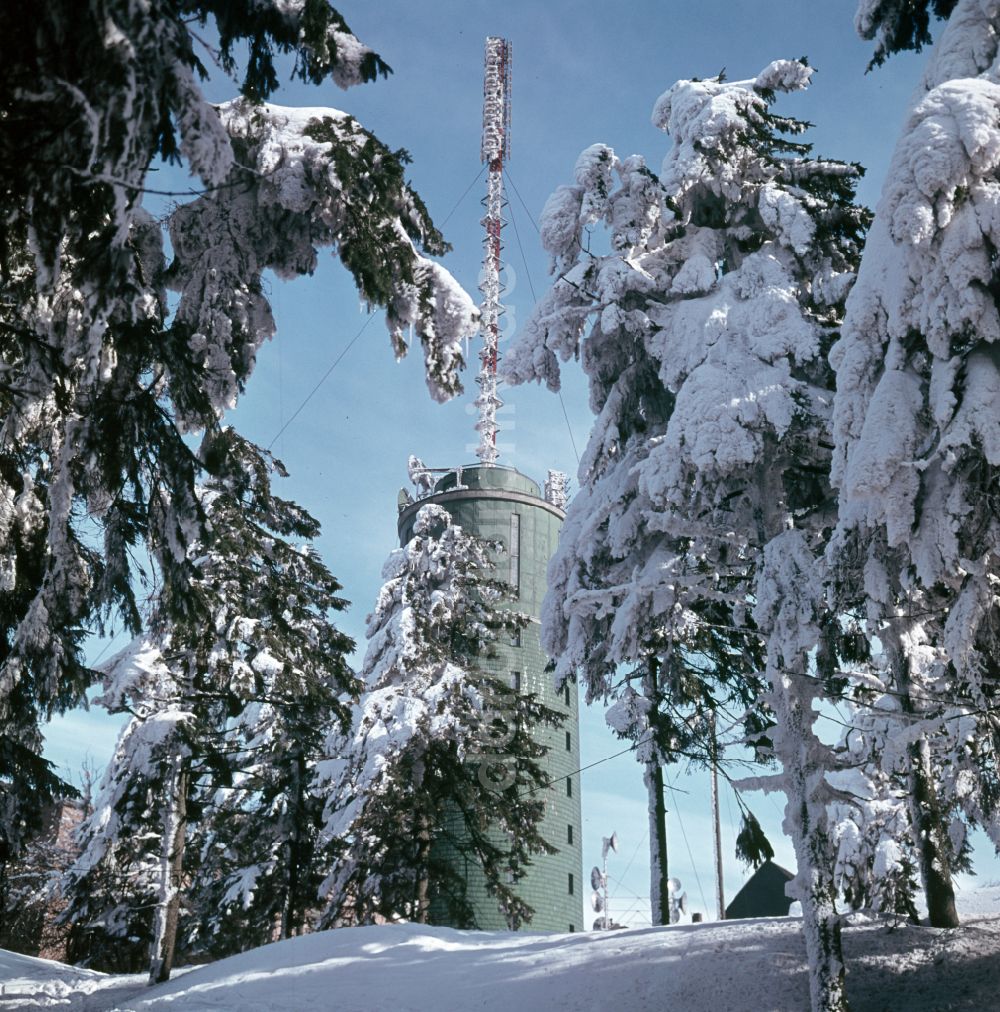 DDR-Fotoarchiv: Bad Tabarz - Winterlandschaft am Großen Inselsberg in Bad Tabarz in der DDR