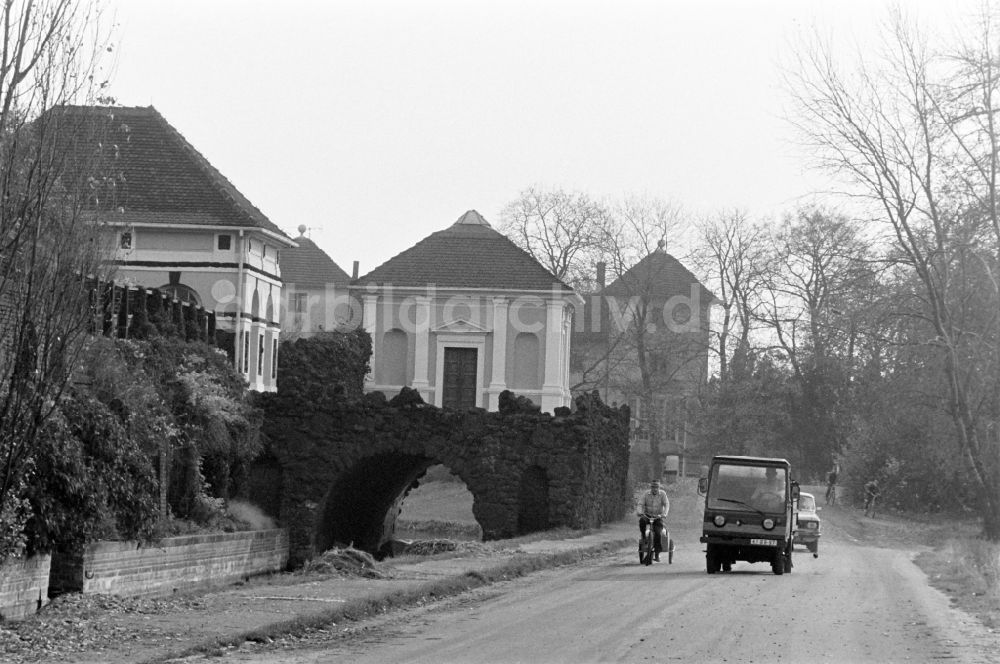 DDR-Bildarchiv: Oranienbaum-Wörlitz - Wörlitzer Park an der Angergasse in Oranienbaum-Wörlitz in der DDR