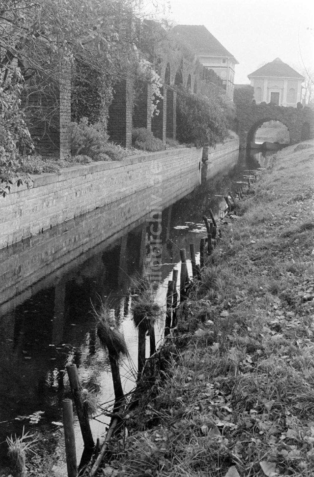 DDR-Fotoarchiv: Oranienbaum-Wörlitz - Wörlitzer Park an der Angergasse in Oranienbaum-Wörlitz in der DDR