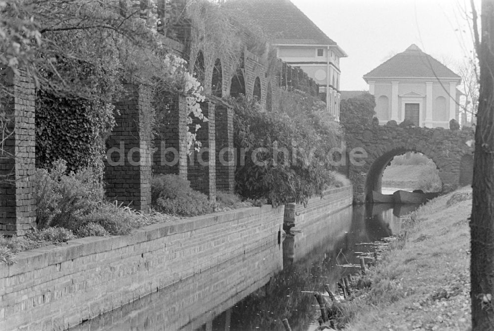 DDR-Bildarchiv: Oranienbaum-Wörlitz - Wörlitzer Park an der Angergasse in Oranienbaum-Wörlitz in der DDR