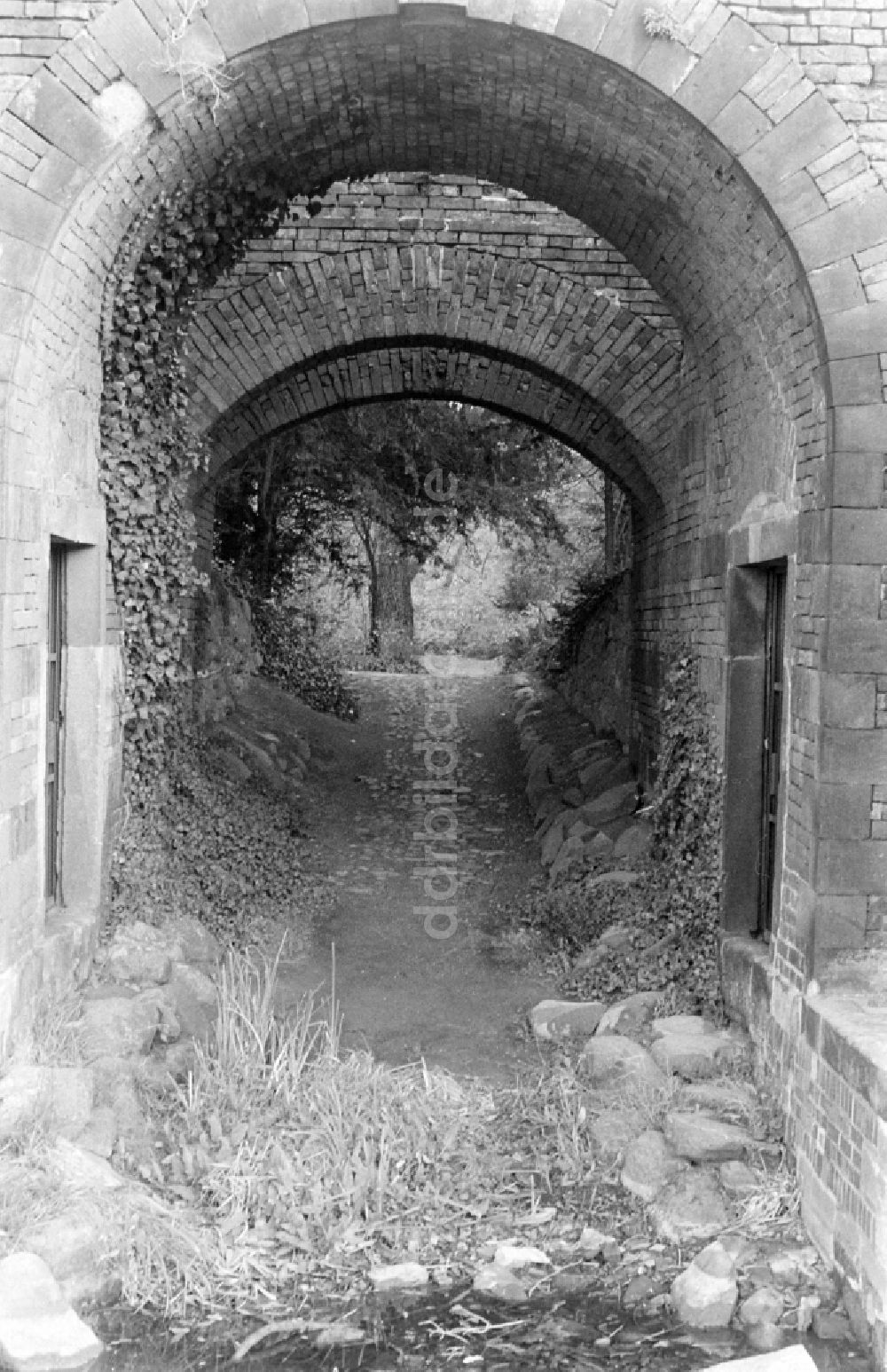 DDR-Fotoarchiv: Oranienbaum-Wörlitz - Wörlitzer Park an der Angergasse in Oranienbaum-Wörlitz in der DDR