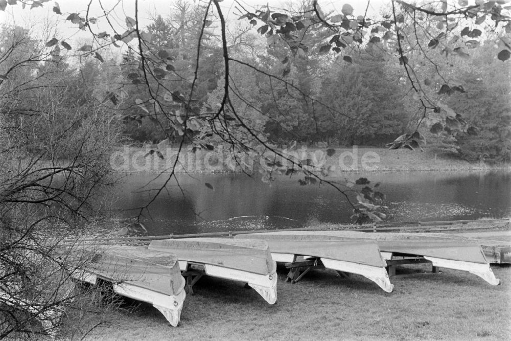 DDR-Fotoarchiv: Oranienbaum-Wörlitz - Wörlitzer Park in Oranienbaum-Wörlitz in der DDR