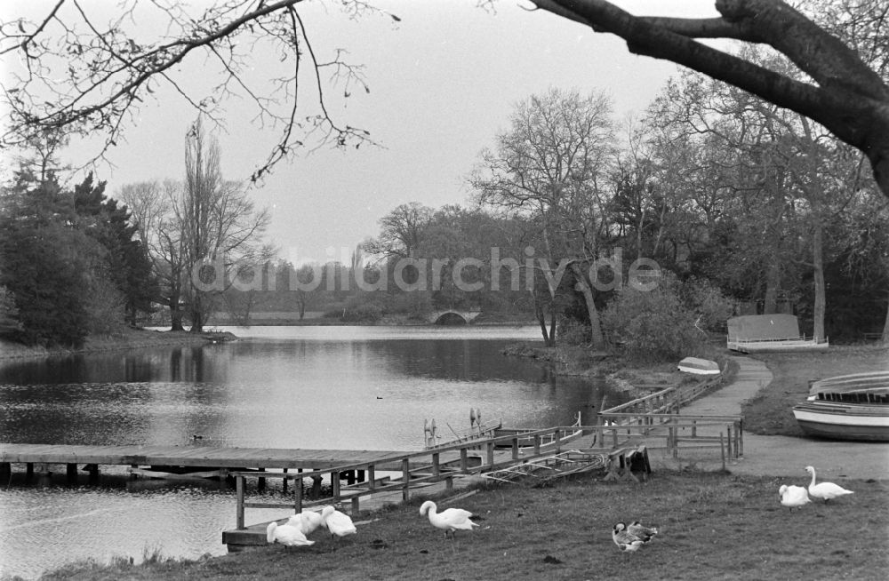 Oranienbaum-Wörlitz: Wörlitzer Park in Oranienbaum-Wörlitz in der DDR