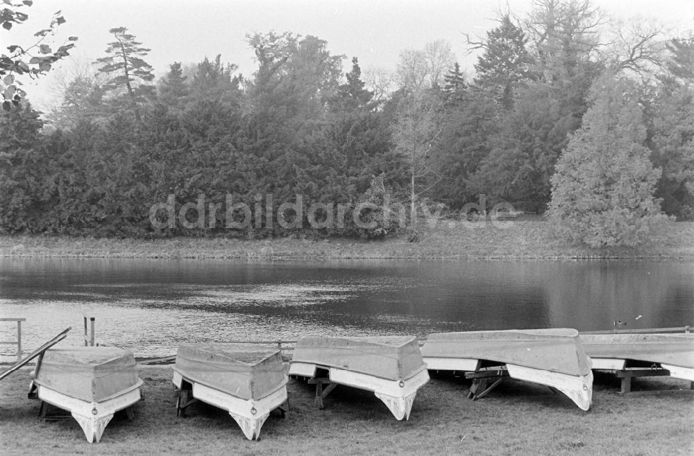 DDR-Bildarchiv: Oranienbaum-Wörlitz - Wörlitzer Park in Oranienbaum-Wörlitz in der DDR