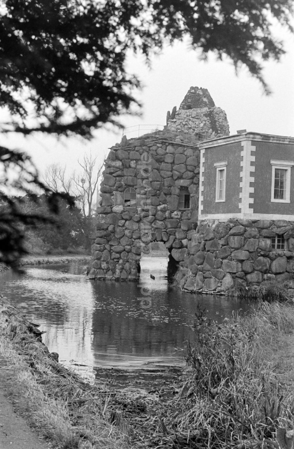 DDR-Bildarchiv: Oranienbaum-Wörlitz - Wörlitzer Park in Oranienbaum-Wörlitz in der DDR