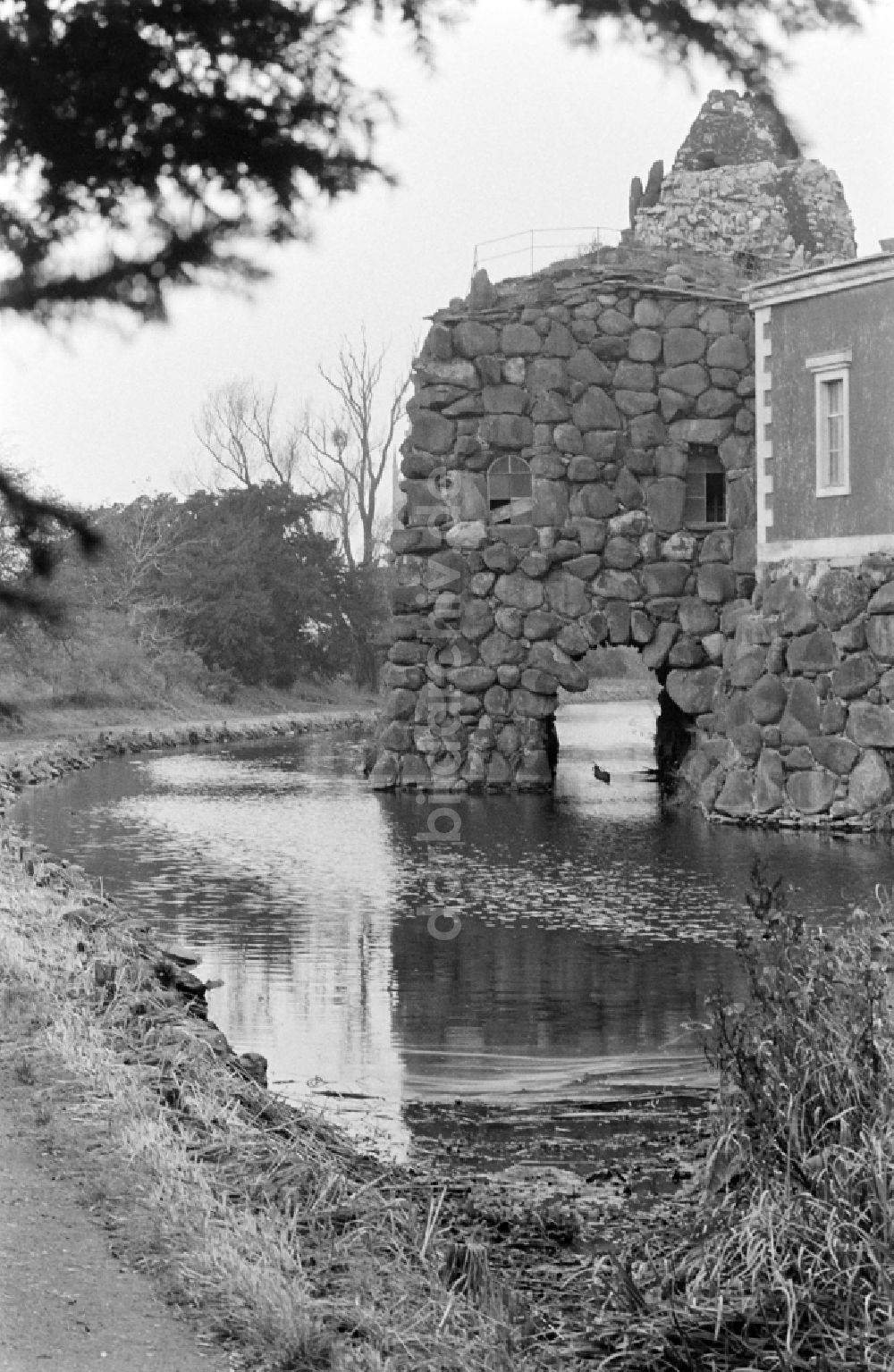 Oranienbaum-Wörlitz: Wörlitzer Park in Oranienbaum-Wörlitz in der DDR