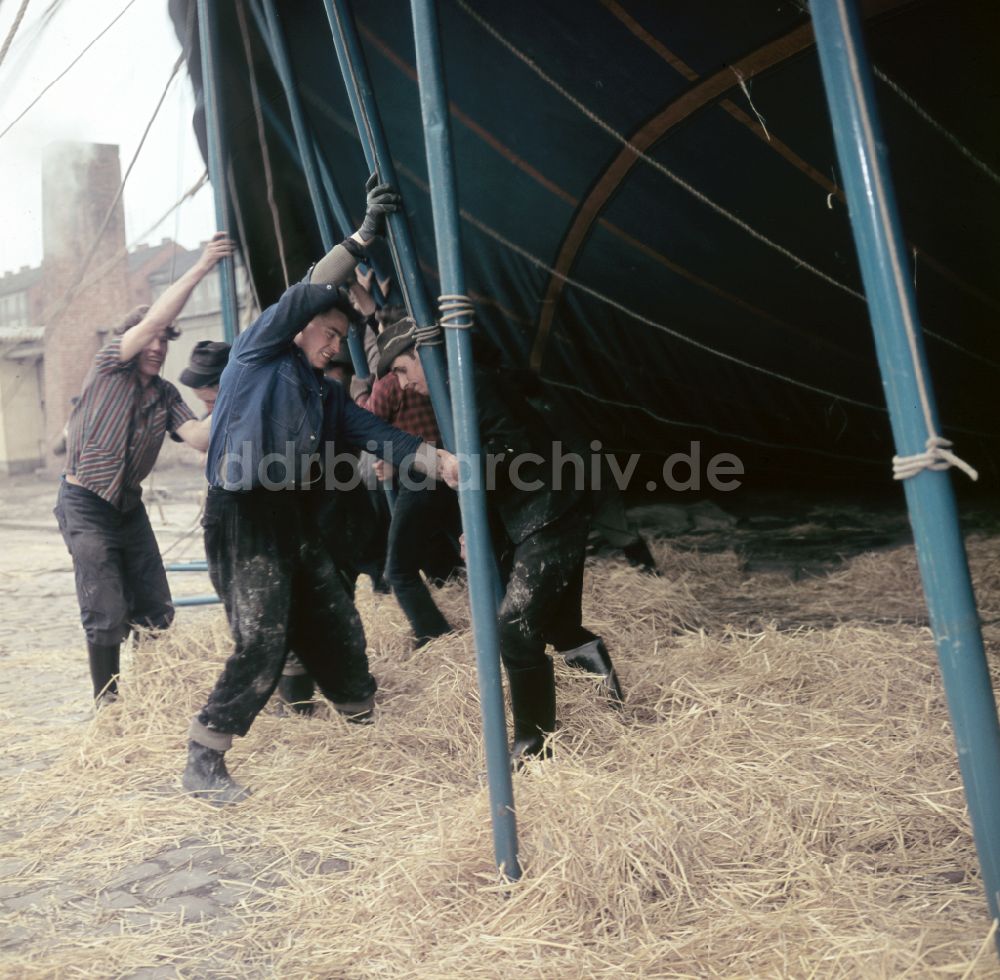 DDR-Fotoarchiv: Berlin - Zirkus Busch in Berlin in der DDR