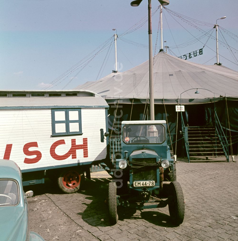 Berlin: Zirkus Busch in Berlin in der DDR