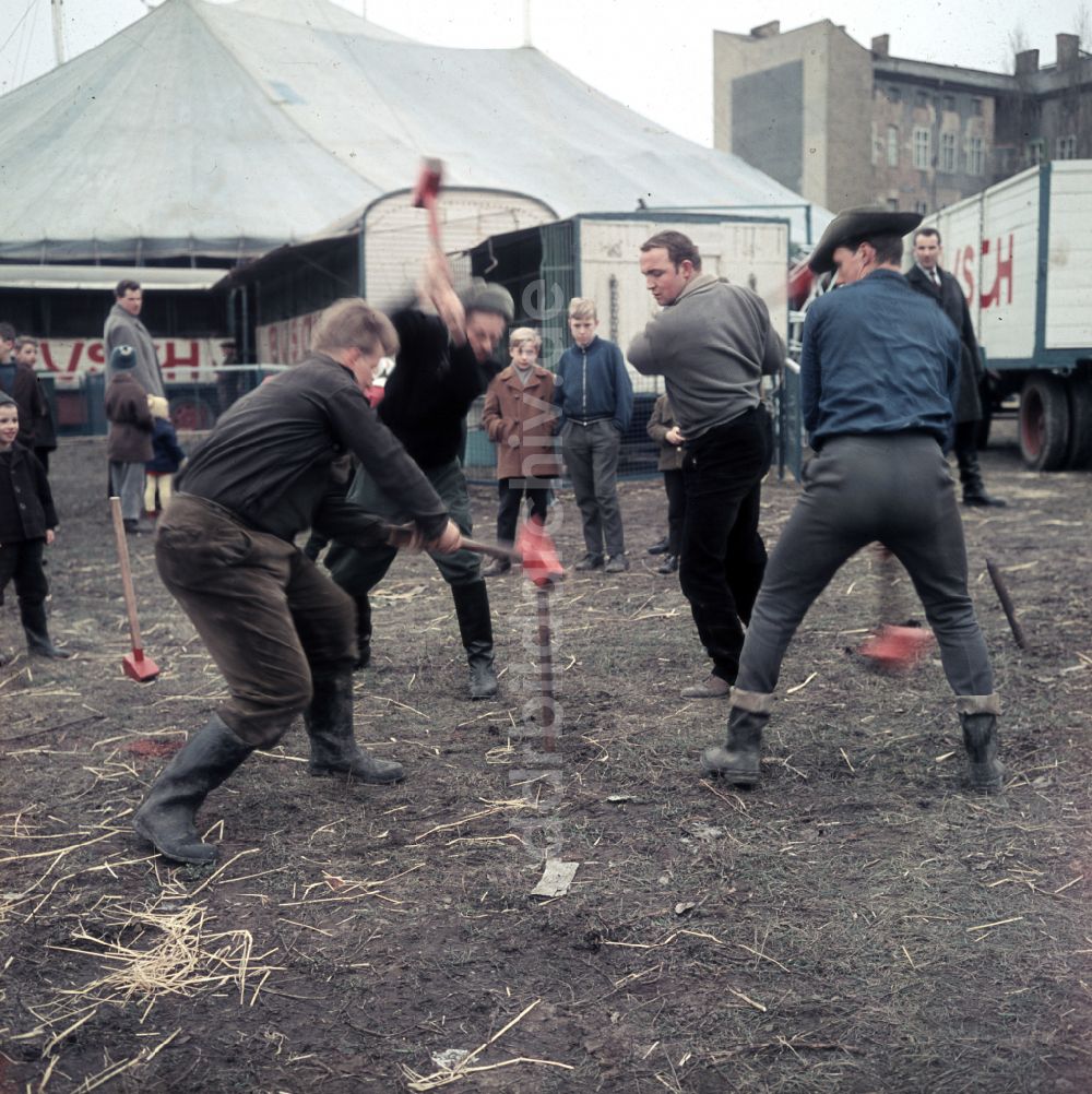 Berlin: Zirkus Busch in Berlin in der DDR