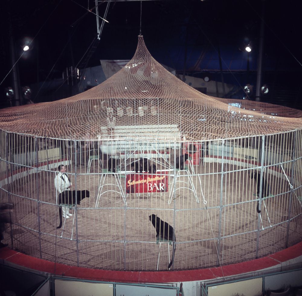 DDR-Bildarchiv: Berlin - Zirkus Busch in Berlin in der DDR