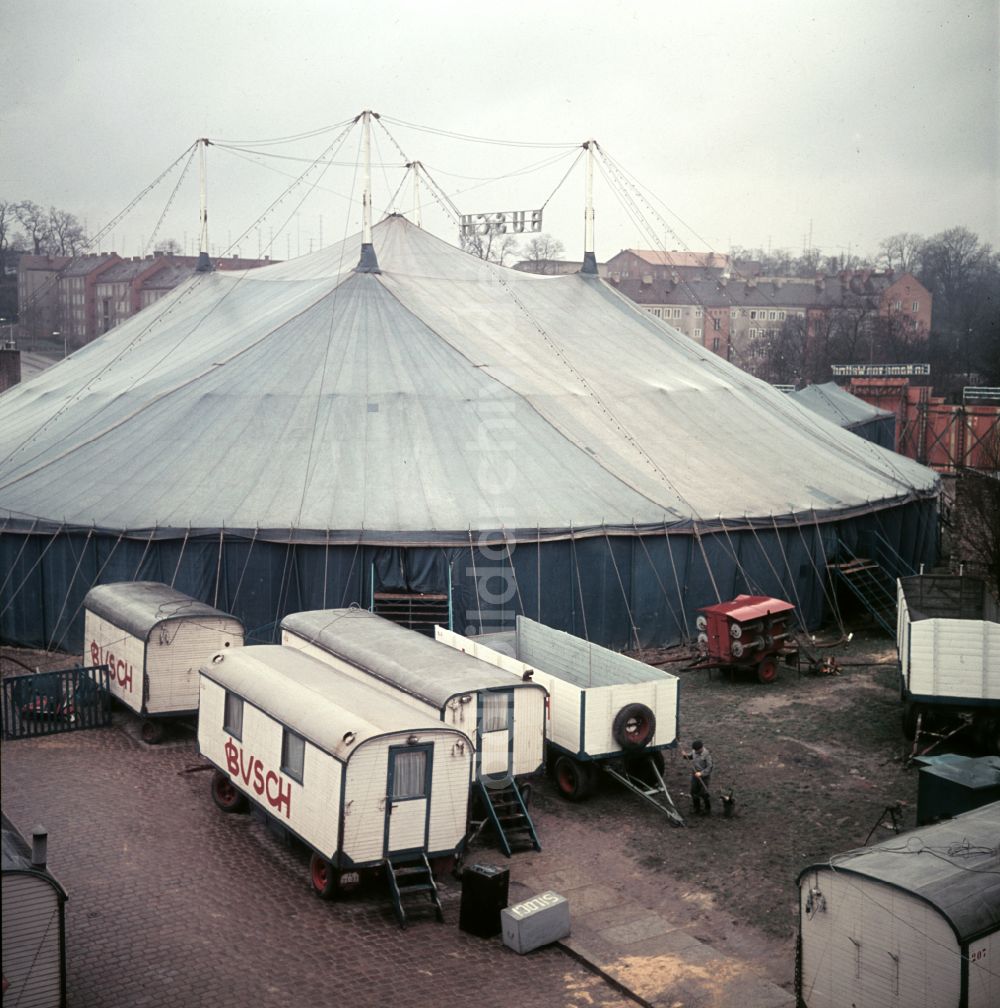 DDR-Fotoarchiv: Berlin - Zirkus Busch in Berlin in der DDR