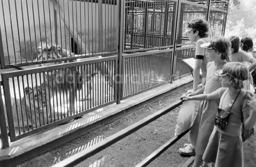 DDR-Fotoarchiv: Eberswalde - Zoo- Gehege in Eberswalde in der DDR